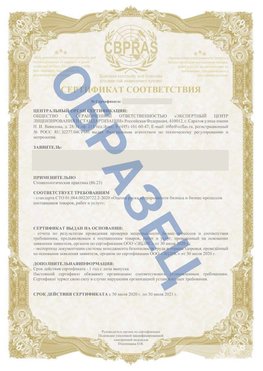 Образец Сертификат СТО 01.064.00220722.2-2020 Раменское Сертификат СТО 01.064.00220722.2-2020 